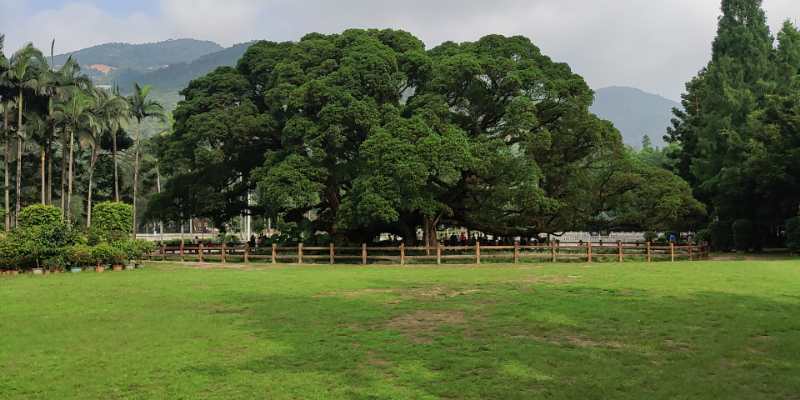 福州華光天銳全體員工于福州國家森林公園開展團建活動